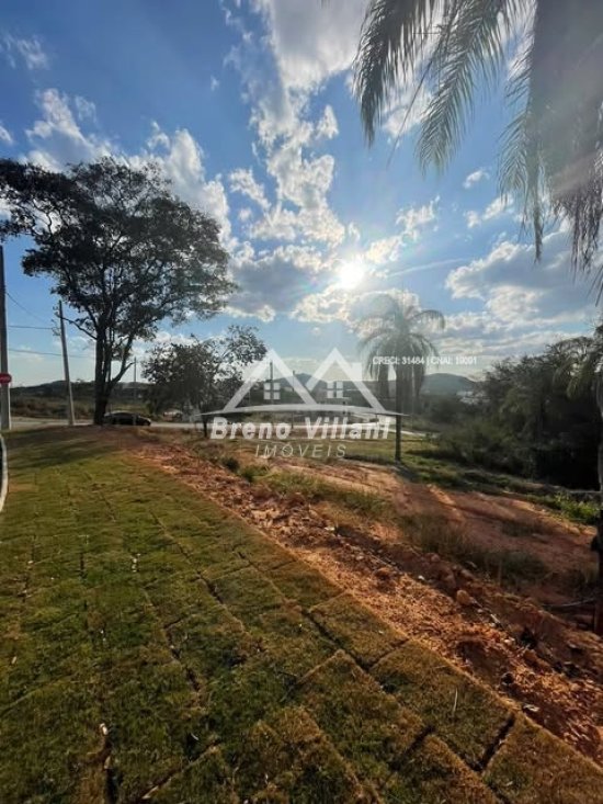 lote-venda-teixeirinha-1044081