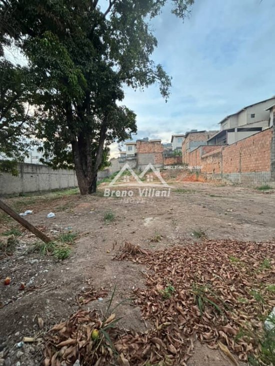 lote-venda-bom-retiro-1063444