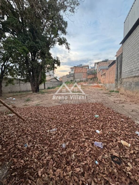 lote-venda-bom-retiro-1063445