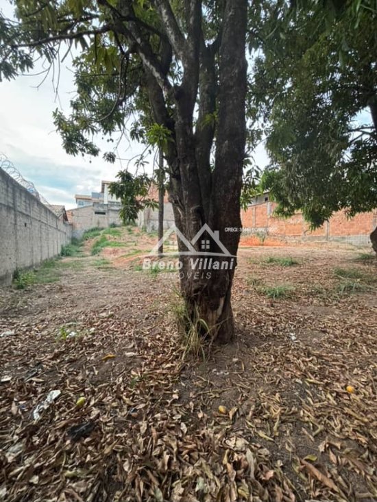 lote-venda-bom-retiro-1063441
