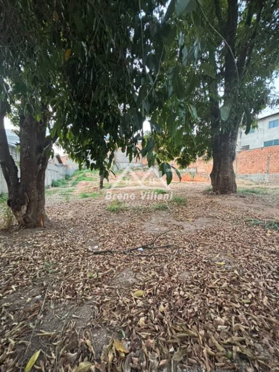 lote-venda-bom-retiro-1063443